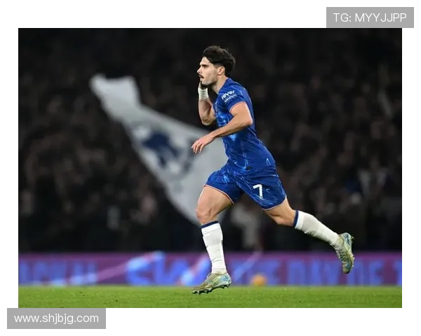 英超马雷斯卡狐狸